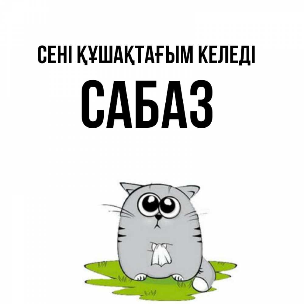 Күн сайын ашық хат с именем, САБАЗ сені құшақтағым келеді котик теребит платочек сидя на травке Онлайн тегін жүктеп алу тілектері бар керемет карта 