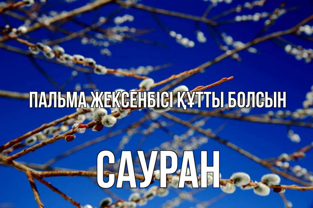 Күн сайын ашық хат с именем, САУРАН Пальма жексенбісі құтты болсын верба Онлайн тегін жүктеп алу тілектері бар керемет карта 
