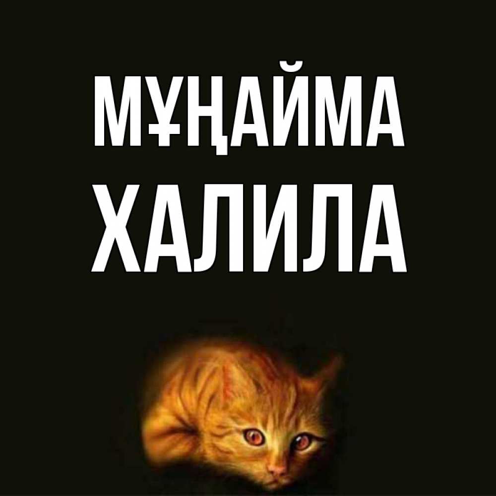Күн сайын ашық хат с именем, ХАЛИЛА Мұңайма лежащий кот в темноте Онлайн тегін жүктеп алу тілектері бар керемет карта 