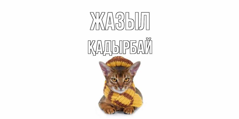 Күн сайын ашық хат с именем, Қадырбай Жазыл родные не болейте Онлайн тегін жүктеп алу тілектері бар керемет карта 