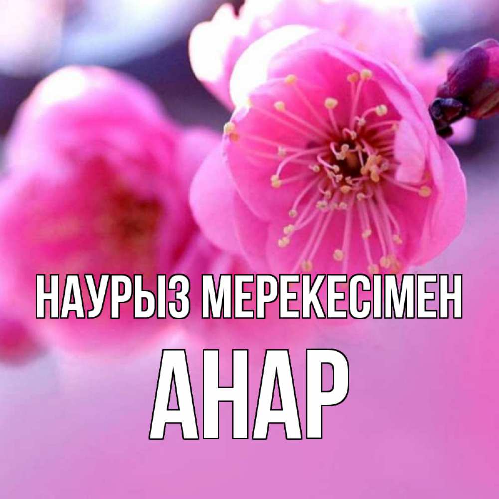 Күн сайын ашық хат с именем, АНАР Наурыз мерекесімен международный женский день Онлайн тегін жүктеп алу тілектері бар керемет карта 