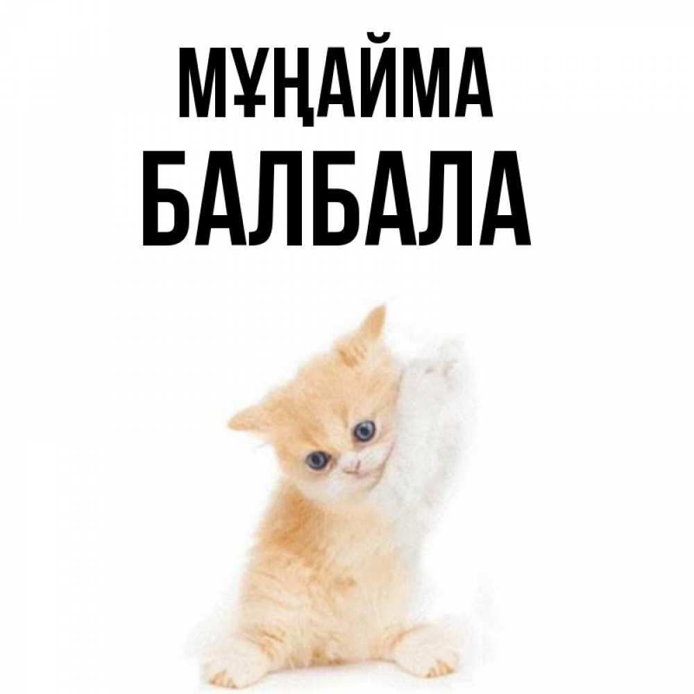 Күн сайын ашық хат с именем, БАЛБАЛА Мұңайма просящий кот Онлайн тегін жүктеп алу тілектері бар керемет карта 