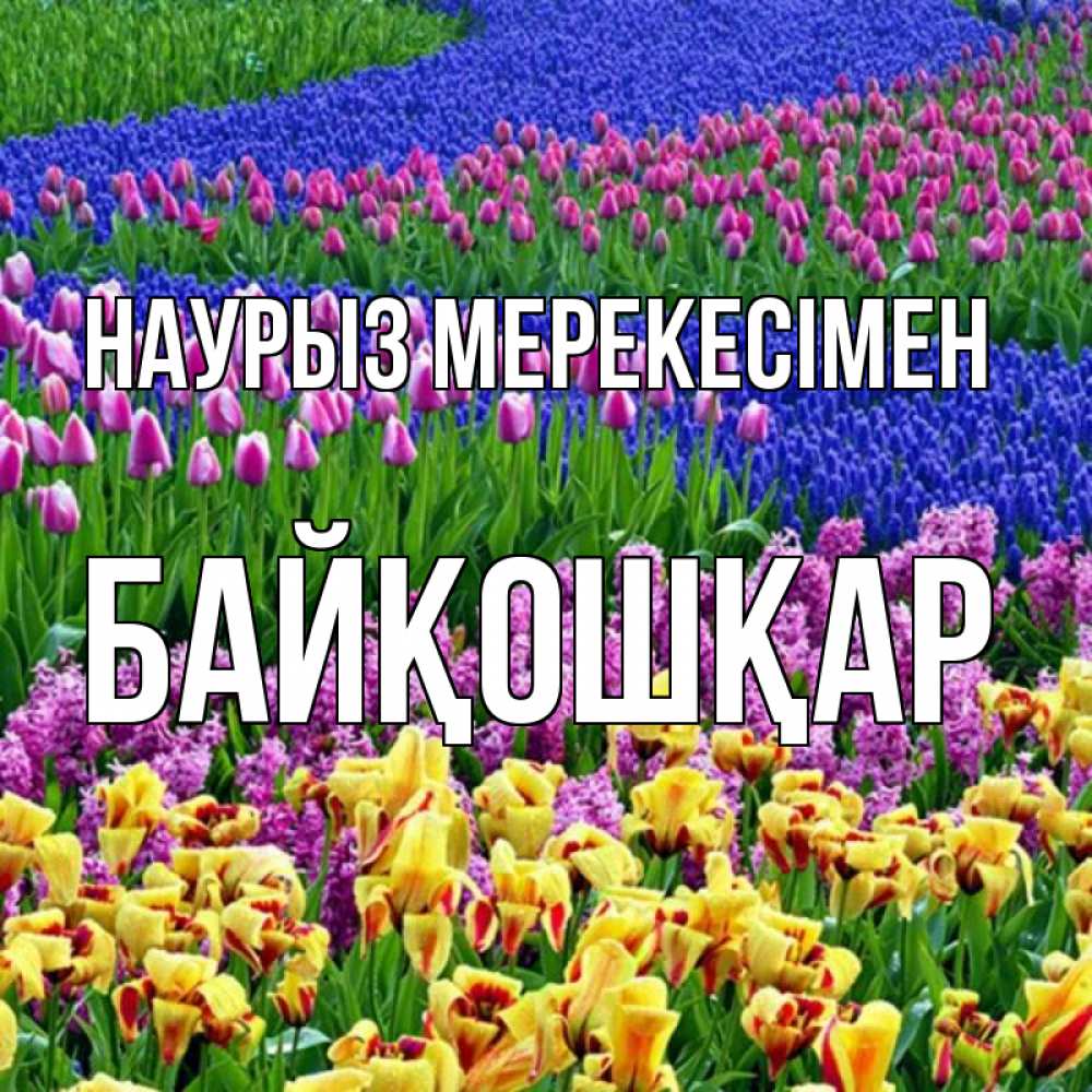 Күн сайын ашық хат с именем, Байқошқар Наурыз мерекесімен цветы Онлайн тегін жүктеп алу тілектері бар керемет карта 
