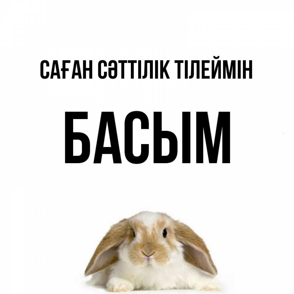Күн сайын ашық хат с именем, Басым Саған сәттілік тілеймін открытки с произвольным текстом который можно вставить в открытку и создать ее самостоятельно бесплатно онлайн Онлайн тегін жүктеп алу тілектері бар керемет карта 