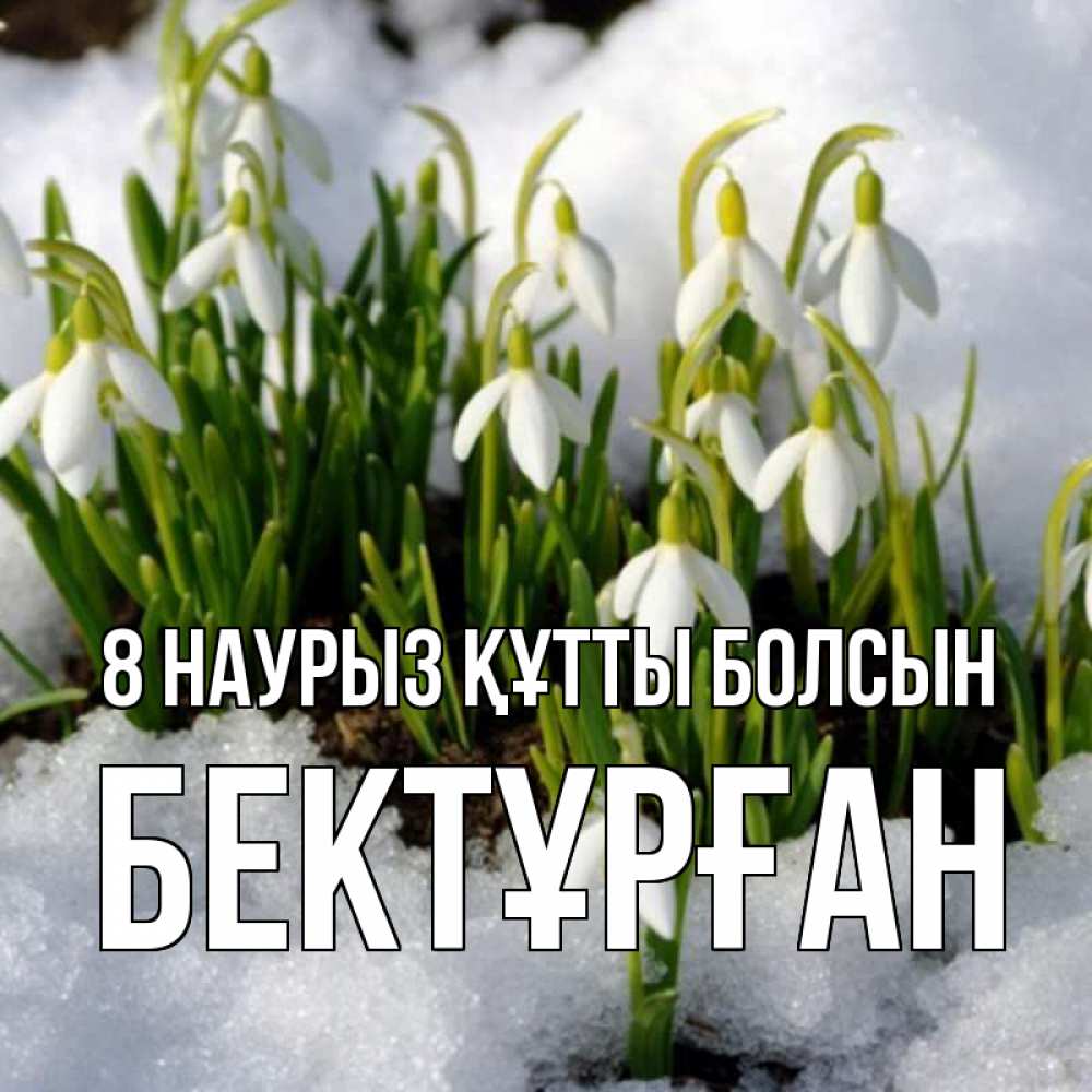 Күн сайын ашық хат с именем, Бектұрған 8 наурыз құтты болсын цветы весенние Онлайн тегін жүктеп алу тілектері бар керемет карта 