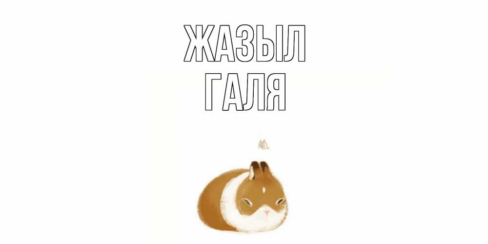 Күн сайын ашық хат с именем, Галя Жазыл морская свинка на открытке с пожеланиями не болеть Онлайн тегін жүктеп алу тілектері бар керемет карта 