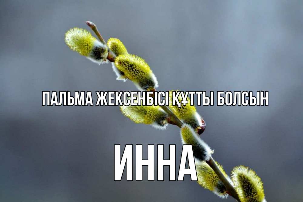 Күн сайын ашық хат с именем, Инна Пальма жексенбісі құтты болсын верба Онлайн тегін жүктеп алу тілектері бар керемет карта 