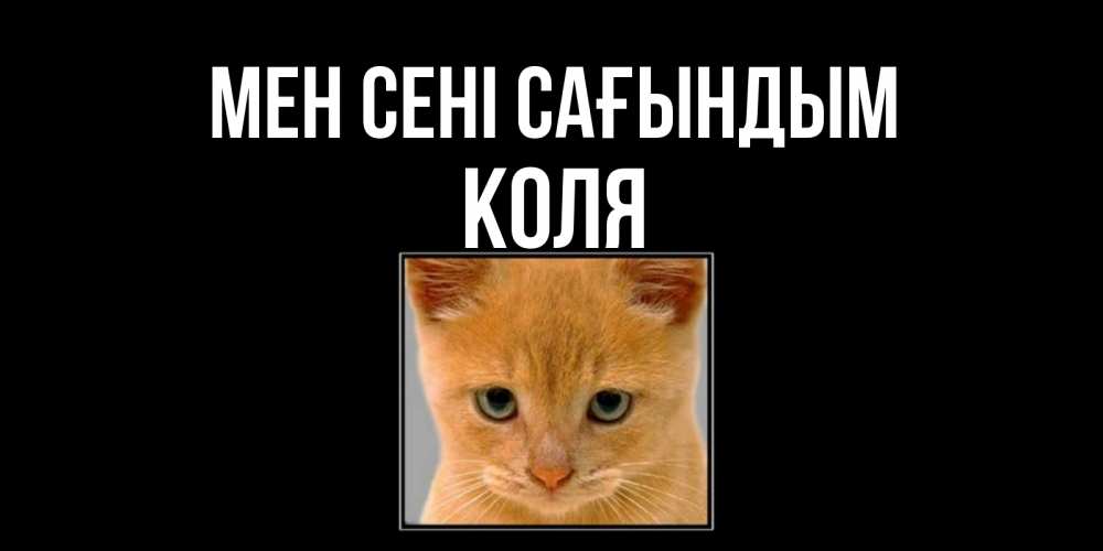 Күн сайын ашық хат с именем, Коля Мен сені сағындым открытки рыжий котенок скучает по тебе Онлайн тегін жүктеп алу тілектері бар керемет карта 