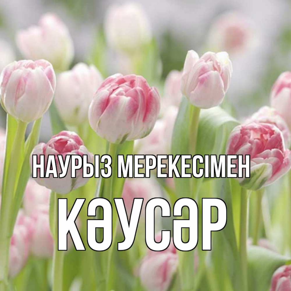 Күн сайын ашық хат с именем, КӘУСӘР Наурыз мерекесімен цветы Онлайн тегін жүктеп алу тілектері бар керемет карта 