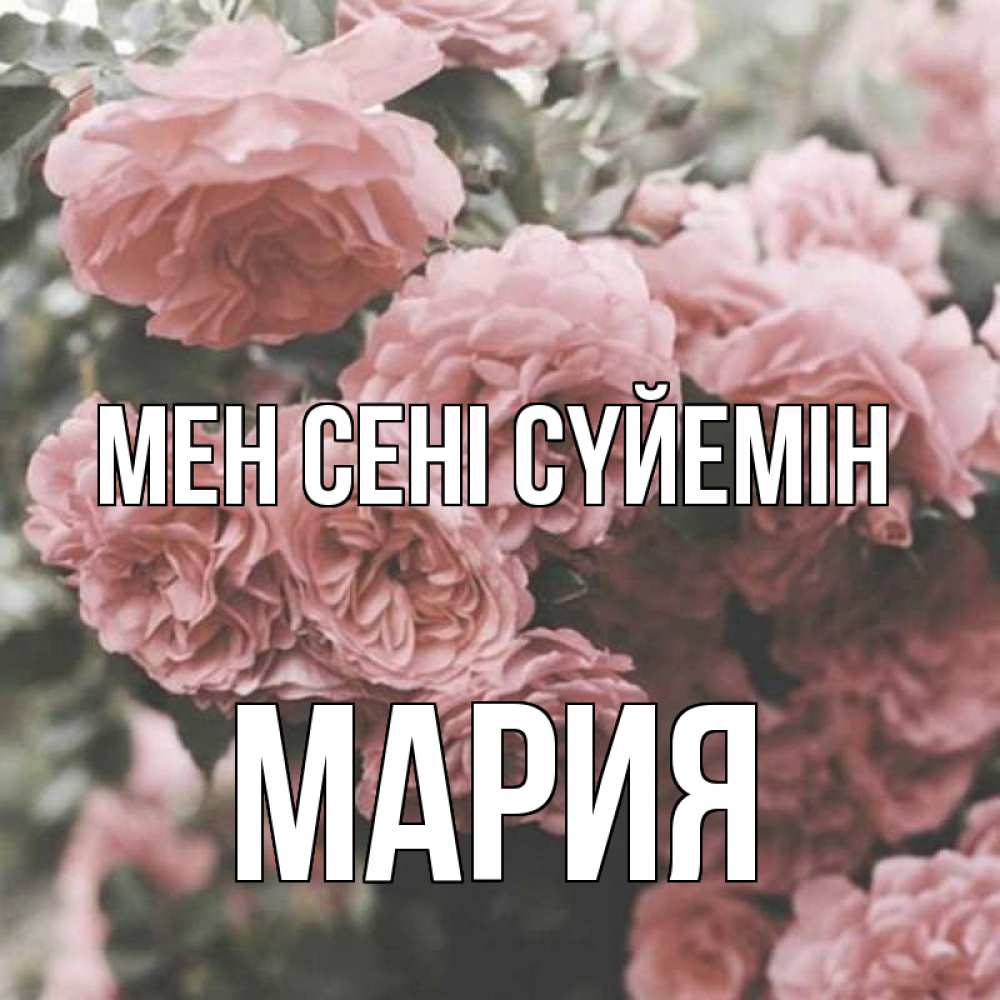 Күн сайын ашық хат с именем, МАРИЯ Мен сені сүйемін розы 3 Онлайн тегін жүктеп алу тілектері бар керемет карта 