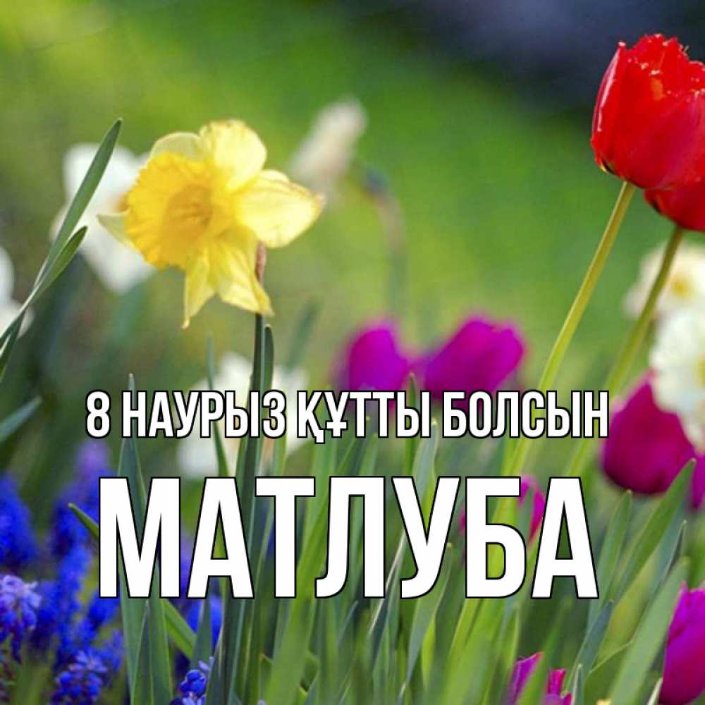 Күн сайын ашық хат с именем, МАТЛУБА 8 наурыз құтты болсын международный женский день 3 Онлайн тегін жүктеп алу тілектері бар керемет карта 