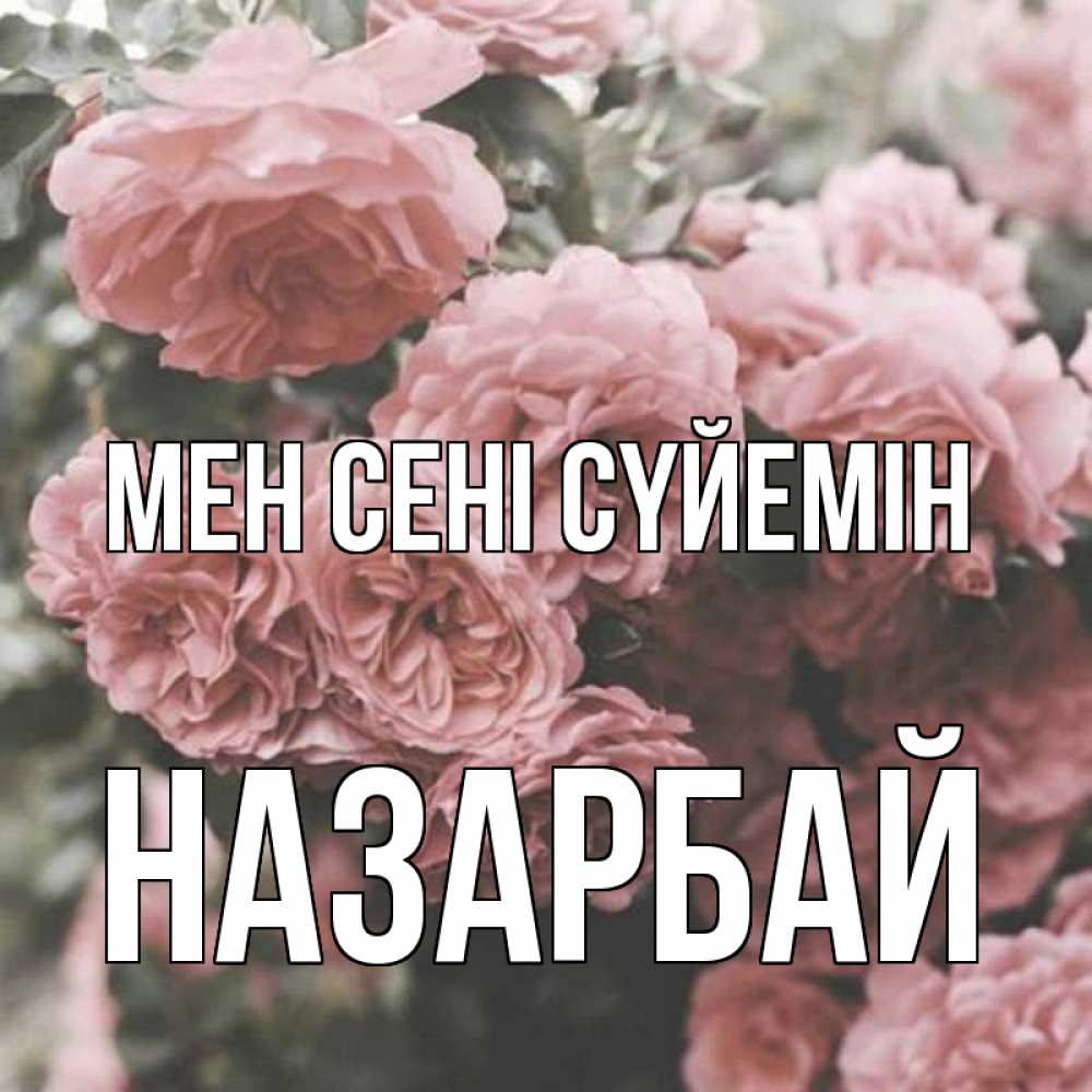 Күн сайын ашық хат с именем, НАЗАРБАЙ Мен сені сүйемін розы 3 Онлайн тегін жүктеп алу тілектері бар керемет карта 