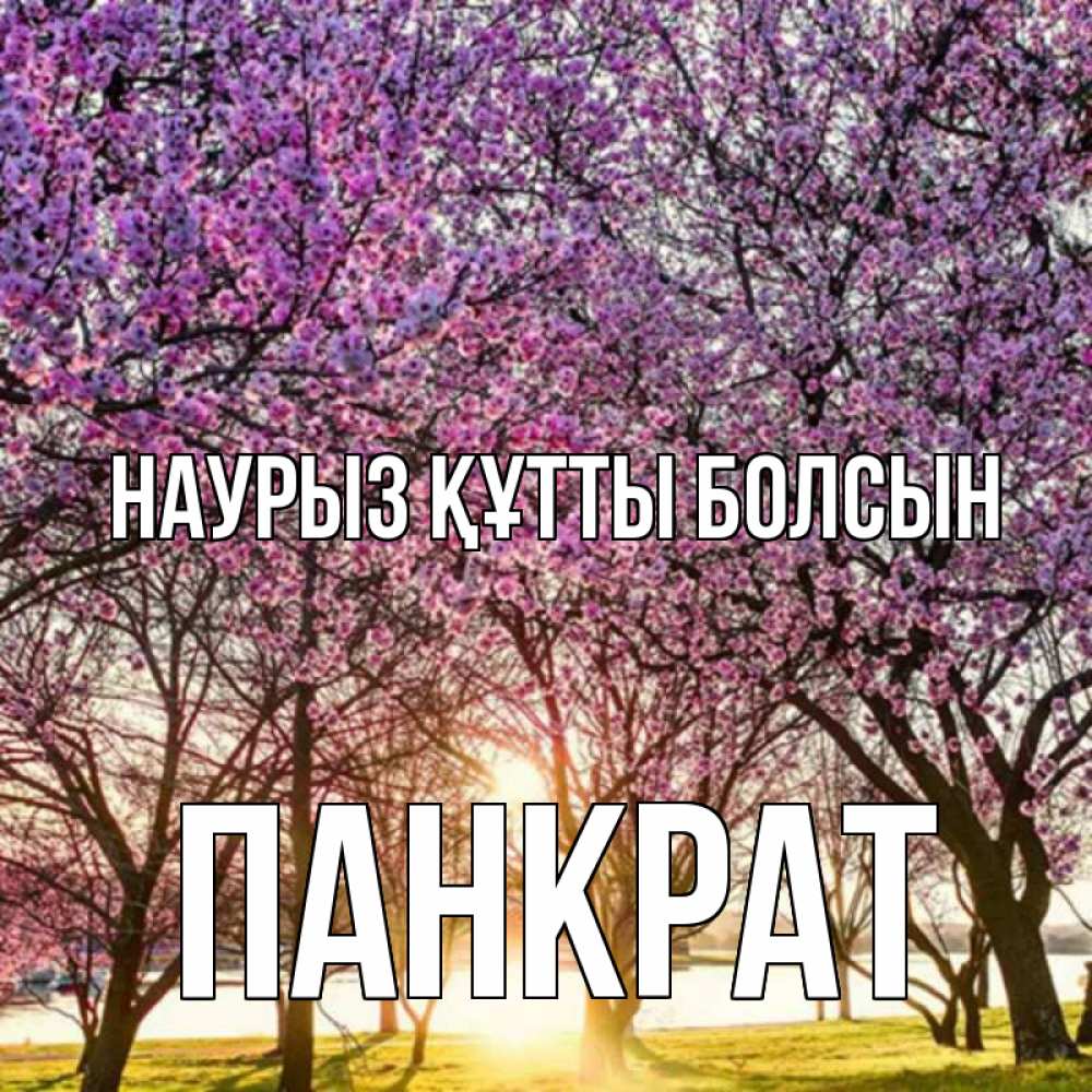 Күн сайын ашық хат с именем, Панкрат Наурыз құтты болсын наурыз Онлайн тегін жүктеп алу тілектері бар керемет карта 