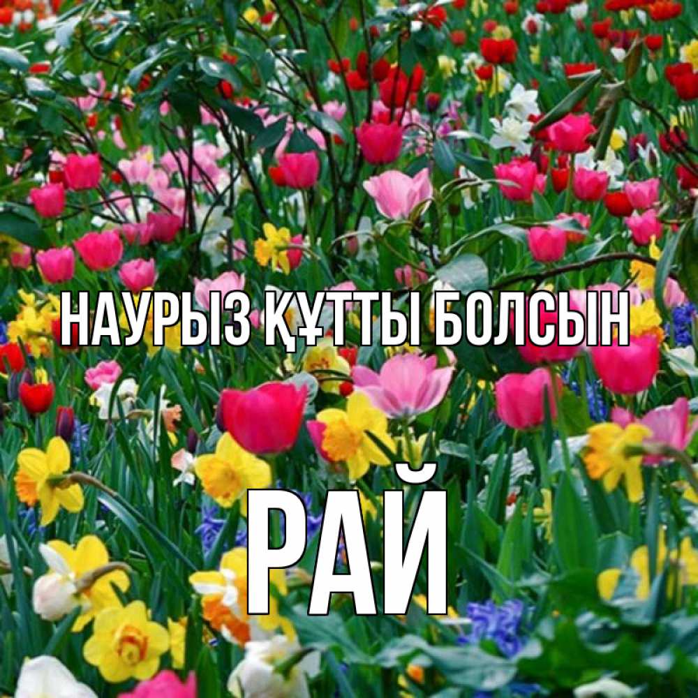 Күн сайын ашық хат с именем, РАЙ Наурыз құтты болсын с наурызом поздравления для женщины Онлайн тегін жүктеп алу тілектері бар керемет карта 