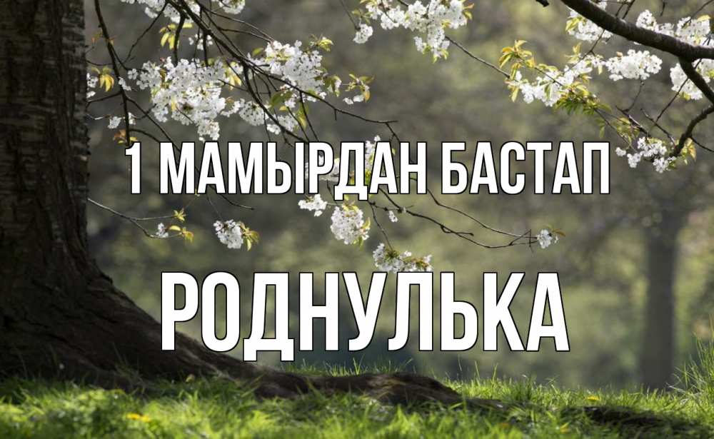 Күн сайын ашық хат с именем, Роднулька 1 мамырдан бастап С 1 мая Онлайн тегін жүктеп алу тілектері бар керемет карта 
