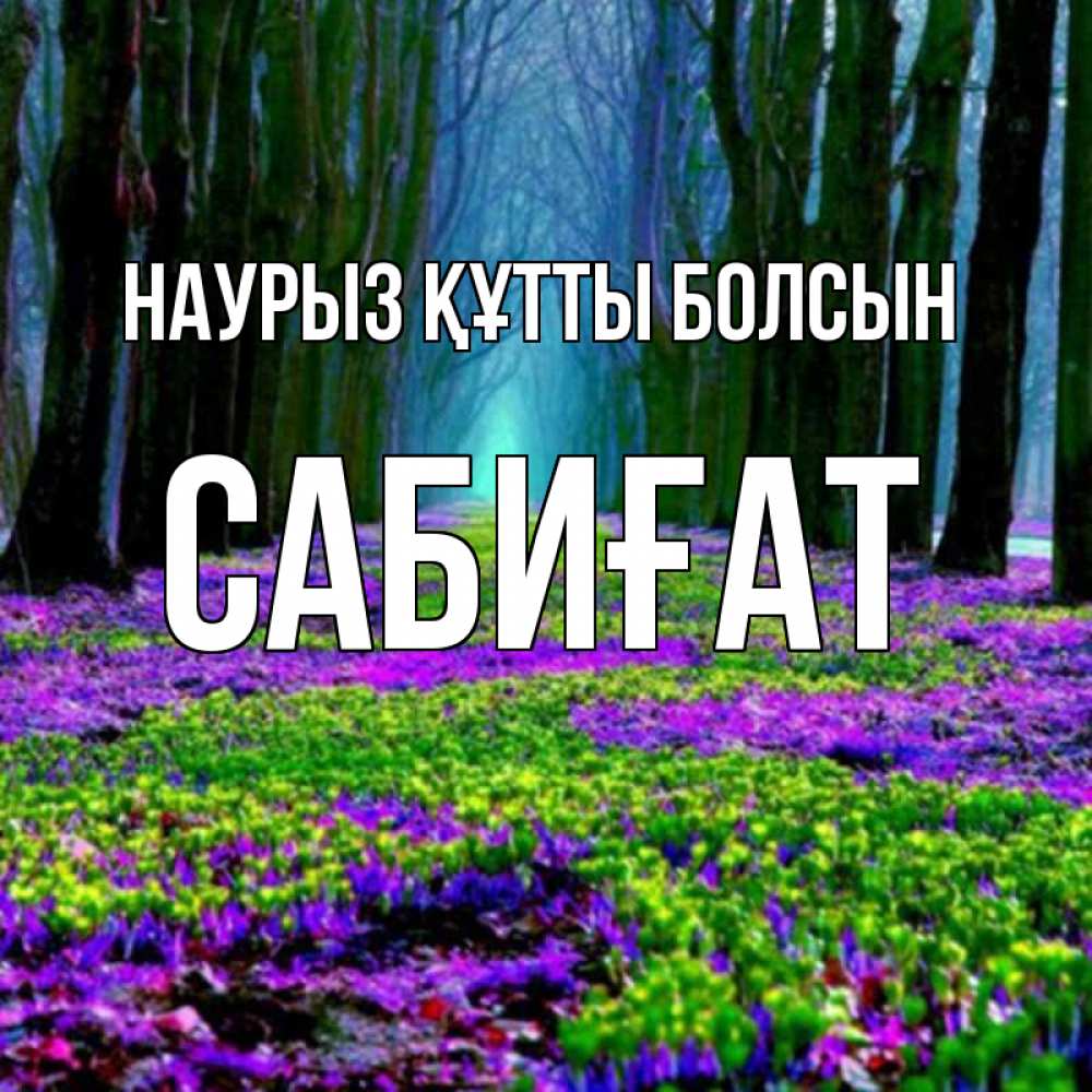 Күн сайын ашық хат с именем, САБИҒАТ Наурыз құтты болсын фиолетовые цветы в лесу 1 Онлайн тегін жүктеп алу тілектері бар керемет карта 