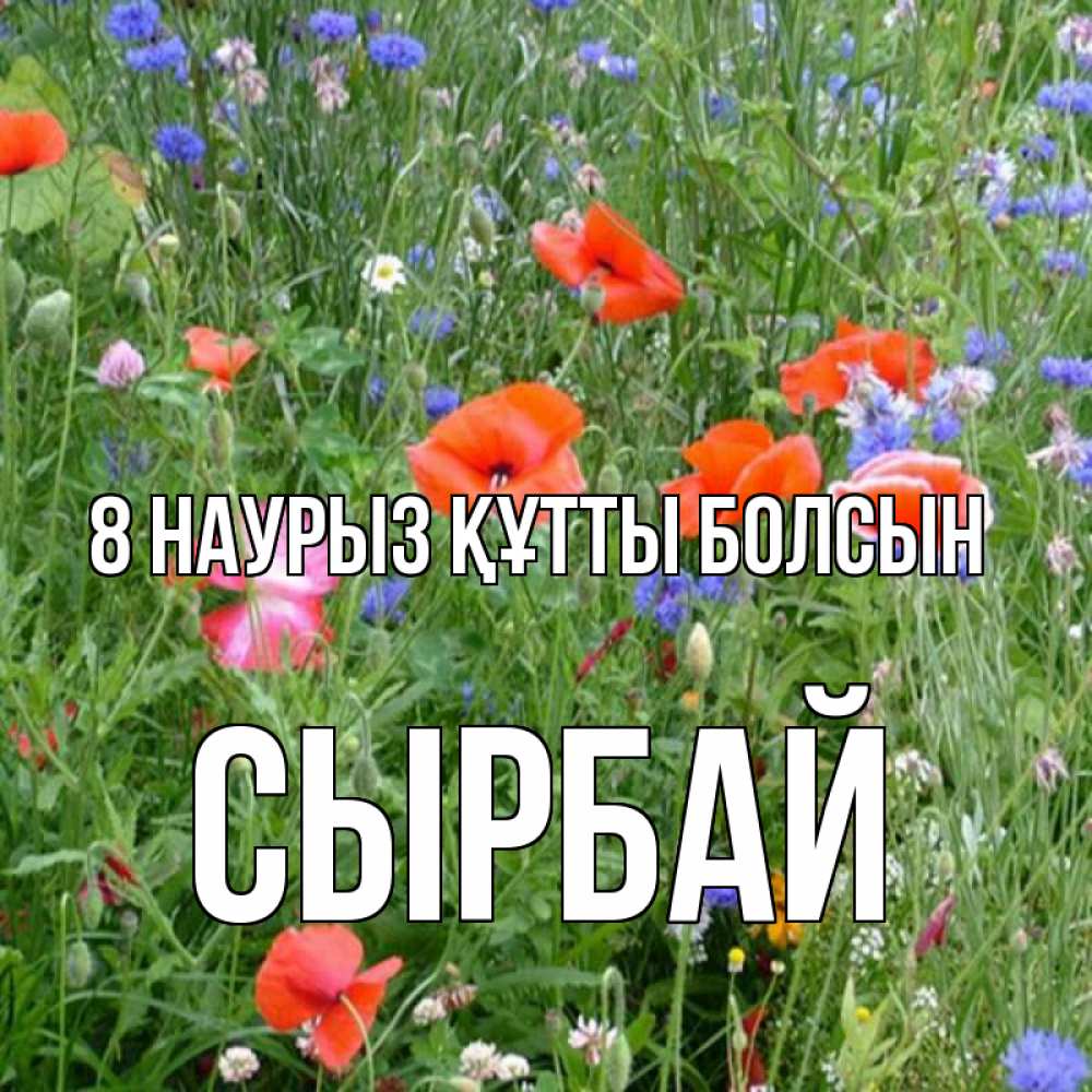 Күн сайын ашық хат с именем, СЫРБАЙ 8 наурыз құтты болсын международный женский день 4 Онлайн тегін жүктеп алу тілектері бар керемет карта 