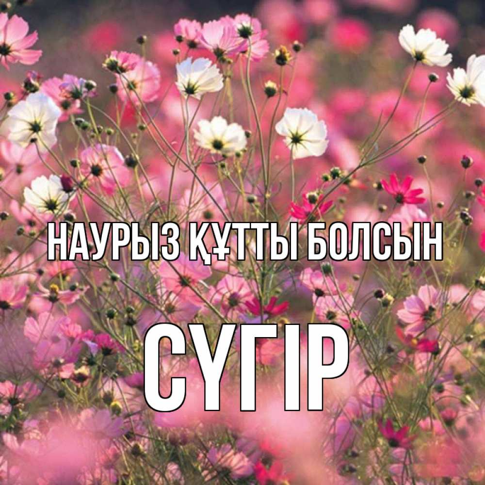 Күн сайын ашық хат с именем, СҮГІР Наурыз құтты болсын красиво 1 Онлайн тегін жүктеп алу тілектері бар керемет карта 