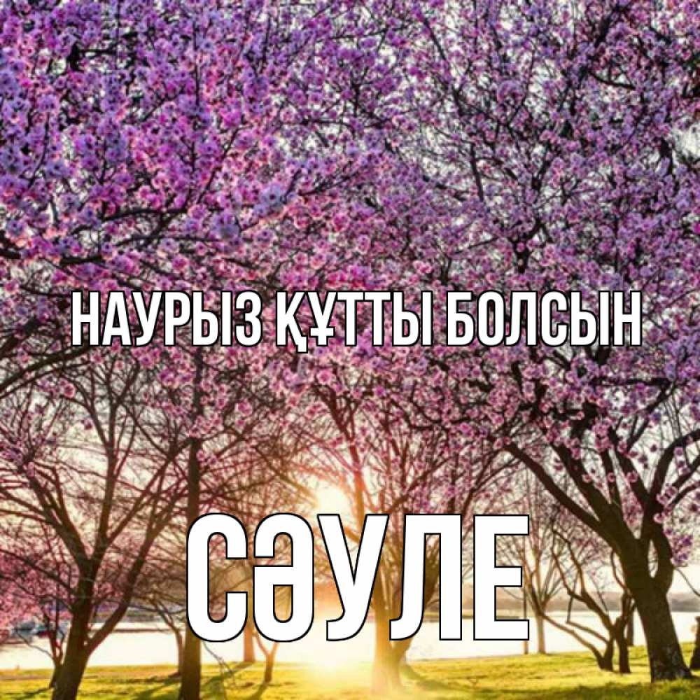 Күн сайын ашық хат с именем, СӘУЛЕ Наурыз құтты болсын наурыз Онлайн тегін жүктеп алу тілектері бар керемет карта 