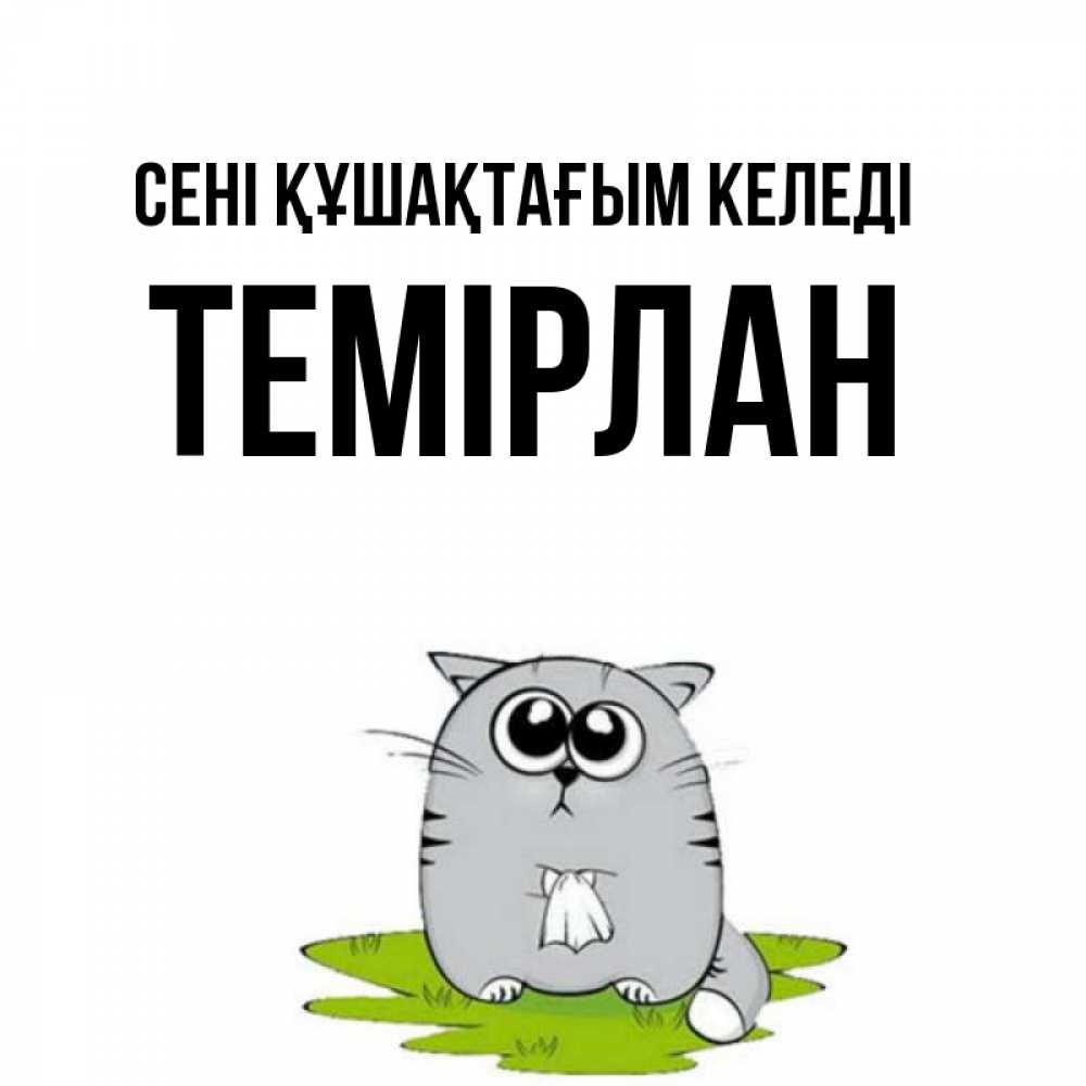 Күн сайын ашық хат с именем, ТЕМІРЛАН сені құшақтағым келеді котик теребит платочек сидя на травке Онлайн тегін жүктеп алу тілектері бар керемет карта 