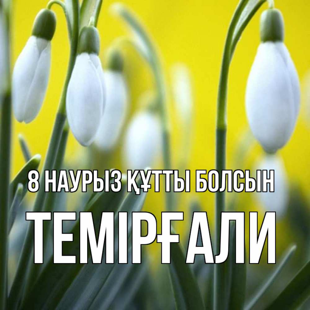 Күн сайын ашық хат с именем, ТЕМІРҒАЛИ 8 наурыз құтты болсын весенние цветы Онлайн тегін жүктеп алу тілектері бар керемет карта 