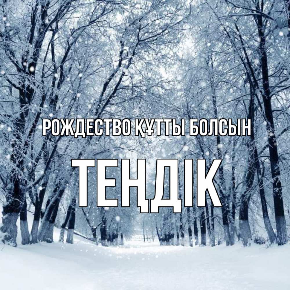 Күн сайын ашық хат с именем, ТЕҢДІК Рождество құтты болсын снег, лес, парк Онлайн тегін жүктеп алу тілектері бар керемет карта 