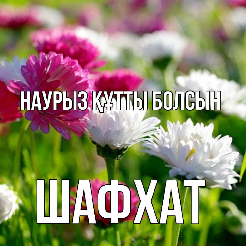 Күн сайын ашық хат с именем, ШАФХАТ Наурыз құтты болсын наурыз Онлайн тегін жүктеп алу тілектері бар керемет карта 