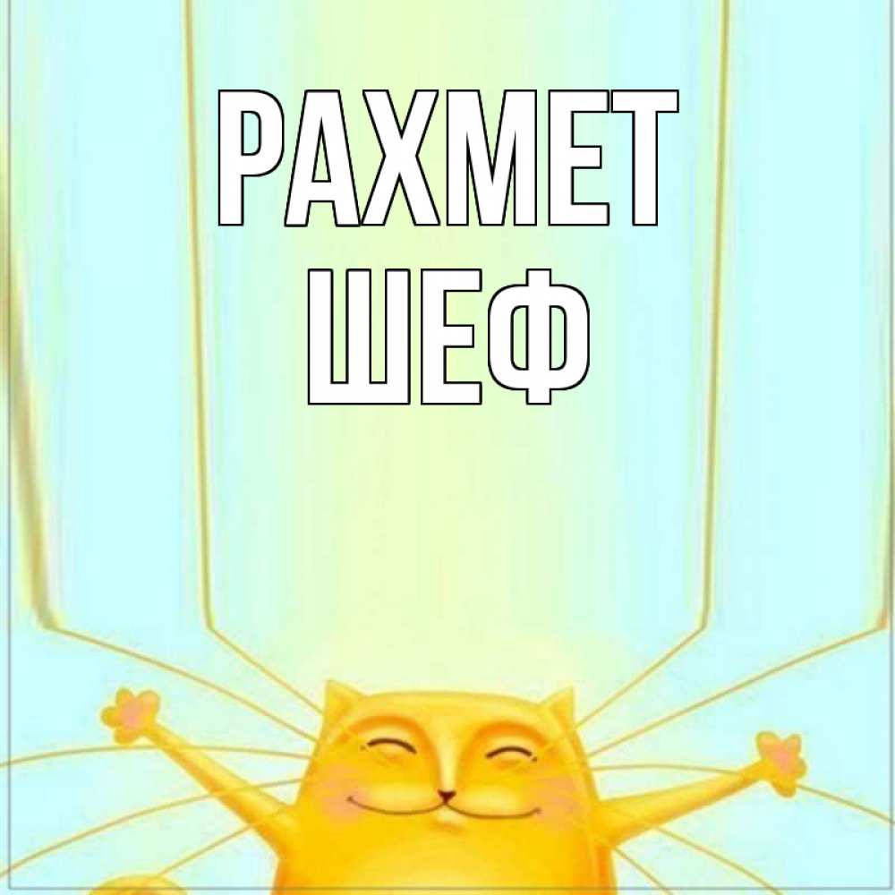 Күн сайын ашық хат с именем, Шеф рахмет кот с усами благодарит Онлайн тегін жүктеп алу тілектері бар керемет карта 