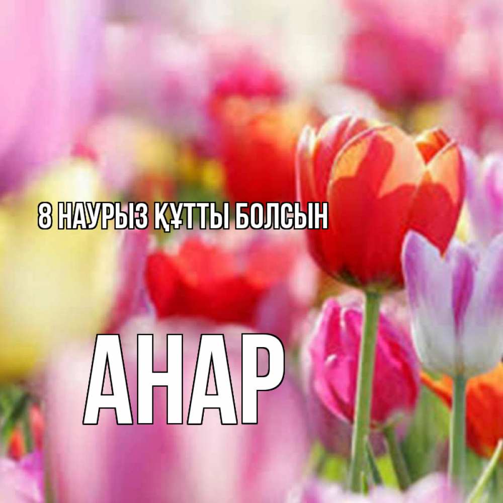 Күн сайын ашық хат с именем, АНАР 8 наурыз құтты болсын на международный женский день 2 Онлайн тегін жүктеп алу тілектері бар керемет карта 