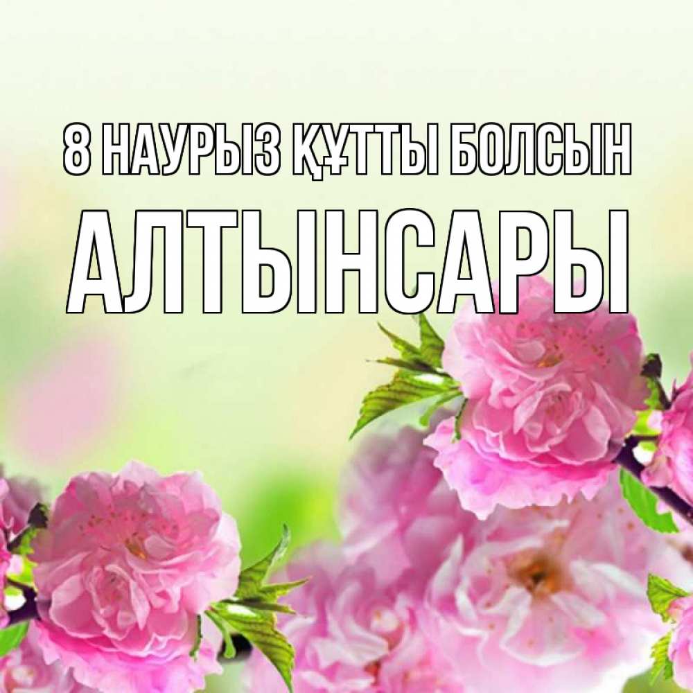 Күн сайын ашық хат с именем, Алтынсары 8 наурыз құтты болсын цветы Онлайн тегін жүктеп алу тілектері бар керемет карта 