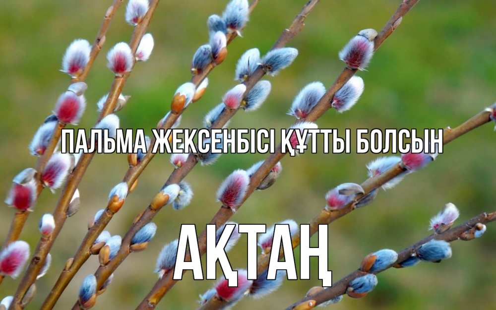 Күн сайын ашық хат с именем, Ақтаң Пальма жексенбісі құтты болсын верба Онлайн тегін жүктеп алу тілектері бар керемет карта 