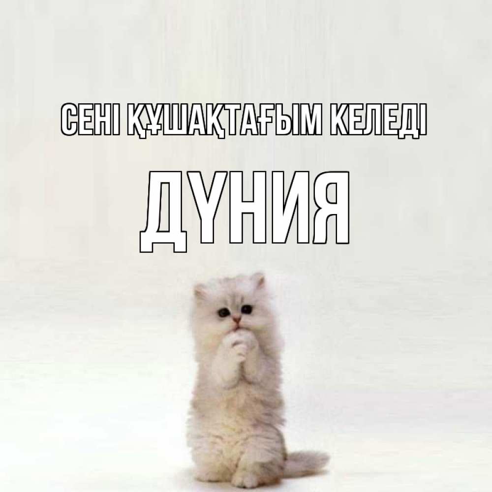 Күн сайын ашық хат с именем, ДҮНИЯ сені құшақтағым келеді открытки с креативными подписями Онлайн тегін жүктеп алу тілектері бар керемет карта 