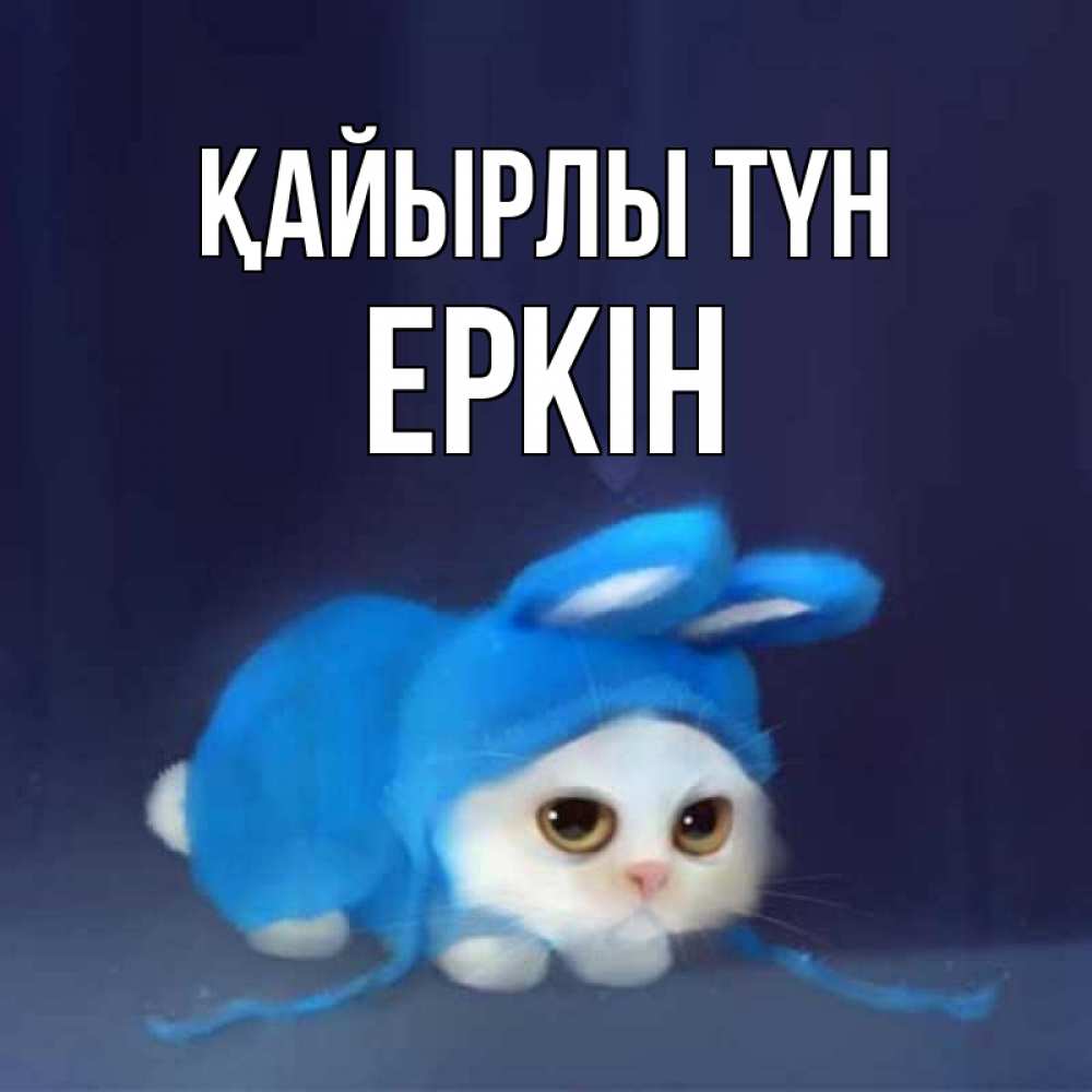 Күн сайын ашық хат с именем, Еркін Қайырлы түн кот в голубом костюме кролика с ушками Онлайн тегін жүктеп алу тілектері бар керемет карта 