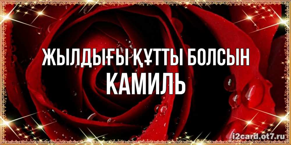 Күн сайын ашық хат с именем, Камиль Жылдығы құтты болсын цветок в росе на день рождения Онлайн тегін жүктеп алу тілектері бар керемет карта 