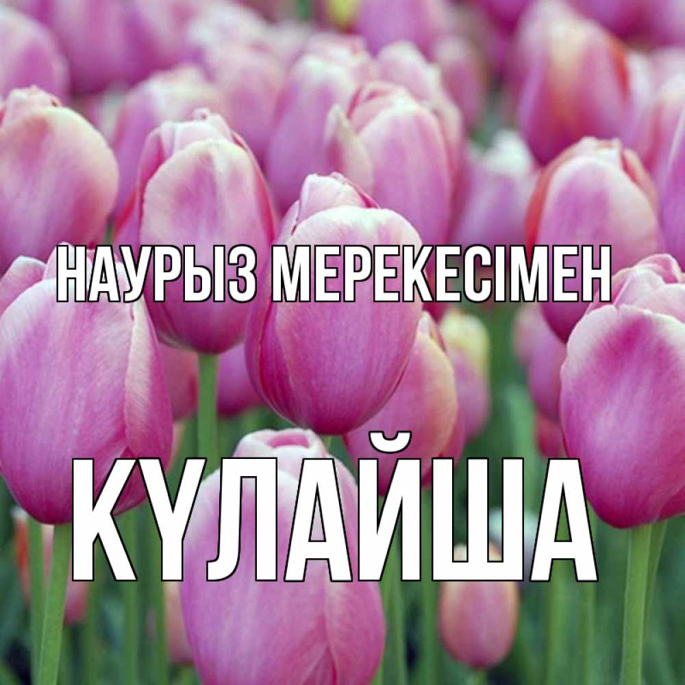 Күн сайын ашық хат с именем, КҮЛАЙША Наурыз мерекесімен праздник весны наурыз 69 Онлайн тегін жүктеп алу тілектері бар керемет карта 
