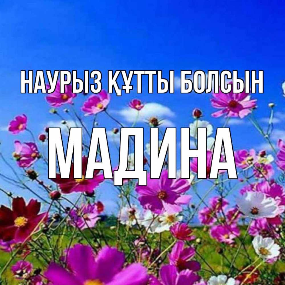 Күн сайын ашық хат с именем, Мадина Наурыз құтты болсын цветы Онлайн тегін жүктеп алу тілектері бар керемет карта 