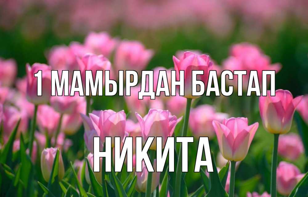 Күн сайын ашық хат с именем, Никита 1 мамырдан бастап С 1 мая Онлайн тегін жүктеп алу тілектері бар керемет карта 