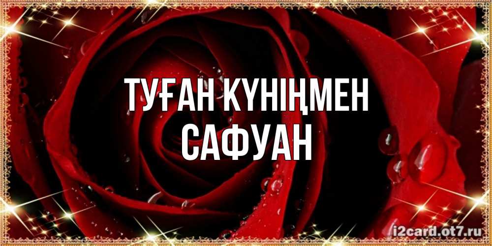 Күн сайын ашық хат с именем, САФУАН Туған күніңмен цветок в росе на день рождения Онлайн тегін жүктеп алу тілектері бар керемет карта 