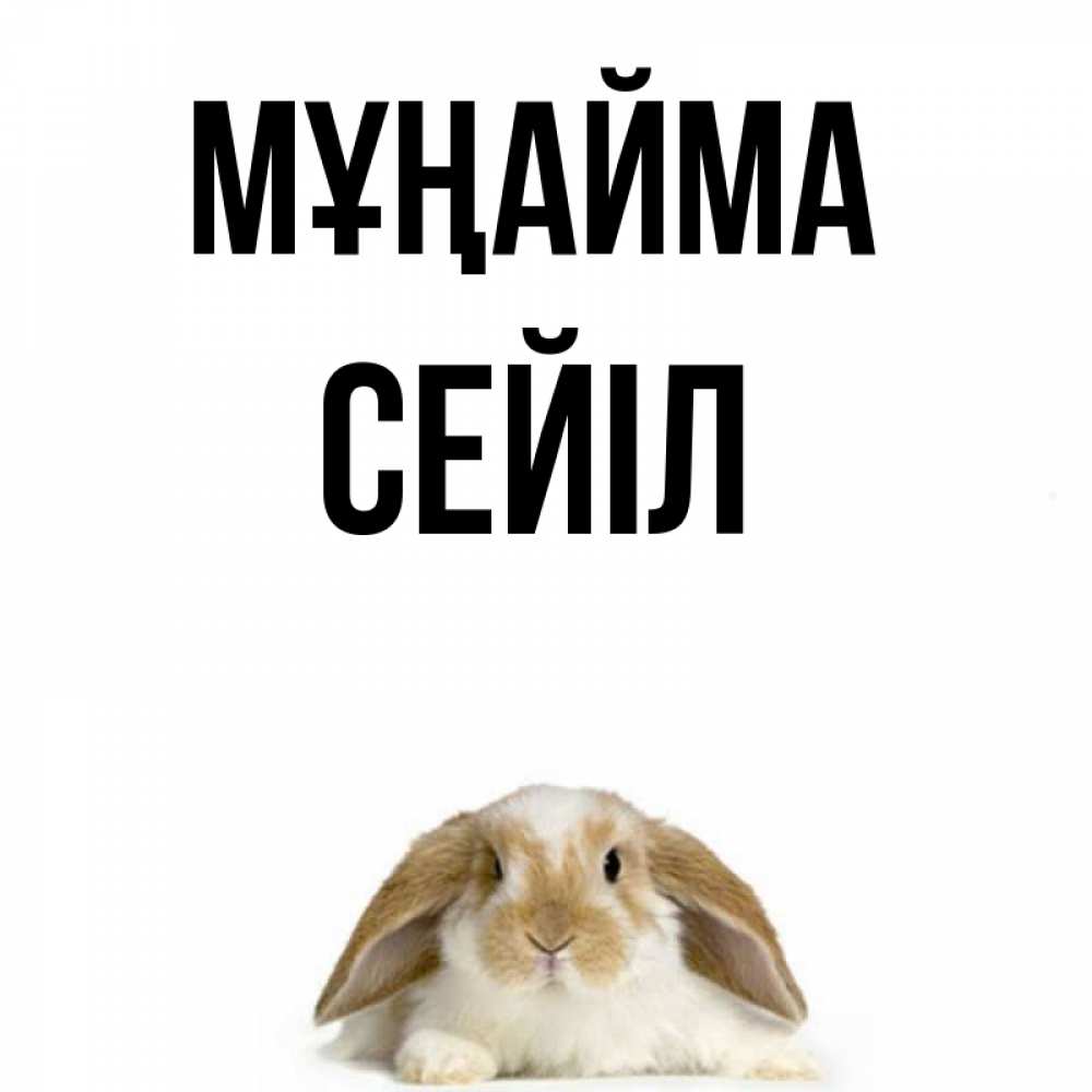 Күн сайын ашық хат с именем, СЕЙІЛ Мұңайма коричнево белый заяц с большими ушками Онлайн тегін жүктеп алу тілектері бар керемет карта 