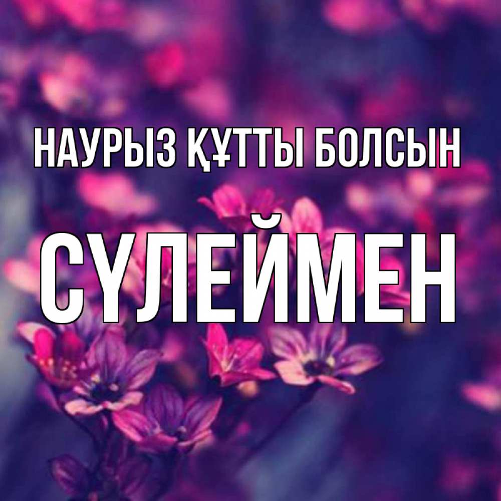 Күн сайын ашық хат с именем, СҮЛЕЙМЕН Наурыз құтты болсын небольшие цветы 1 Онлайн тегін жүктеп алу тілектері бар керемет карта 