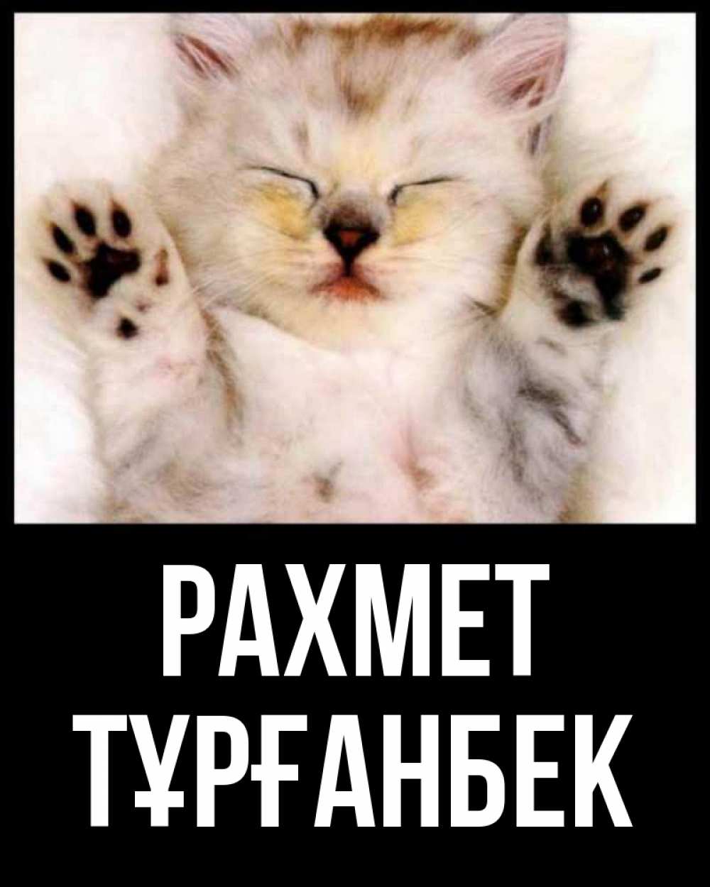 Күн сайын ашық хат с именем, ТҰРҒАНБЕК рахмет маленький котенок Онлайн тегін жүктеп алу тілектері бар керемет карта 