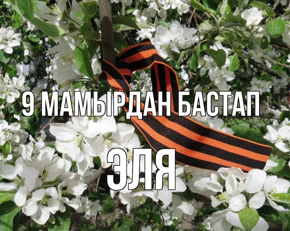 Күн сайын ашық хат с именем, Эля 9 мамырдан бастап 9 мая Онлайн тегін жүктеп алу тілектері бар керемет карта 
