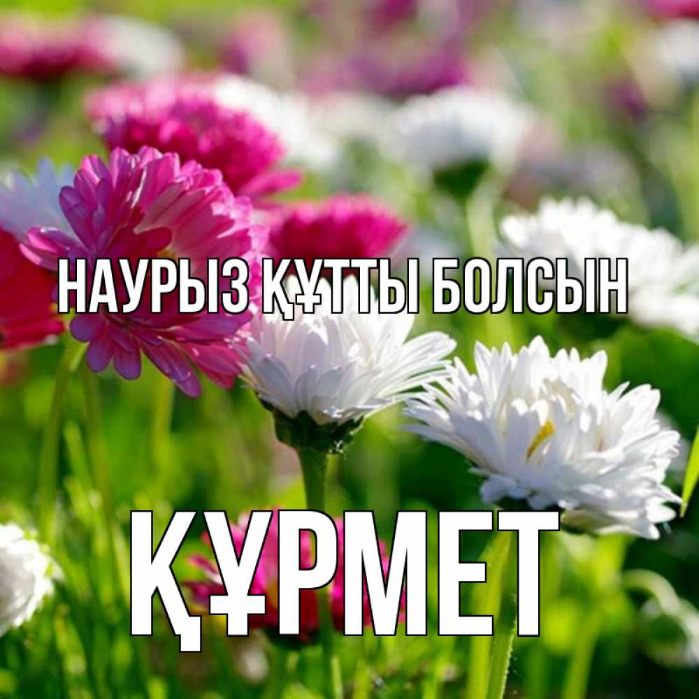 Күн сайын ашық хат с именем, ҚҰРМЕТ Наурыз құтты болсын наурыз Онлайн тегін жүктеп алу тілектері бар керемет карта 