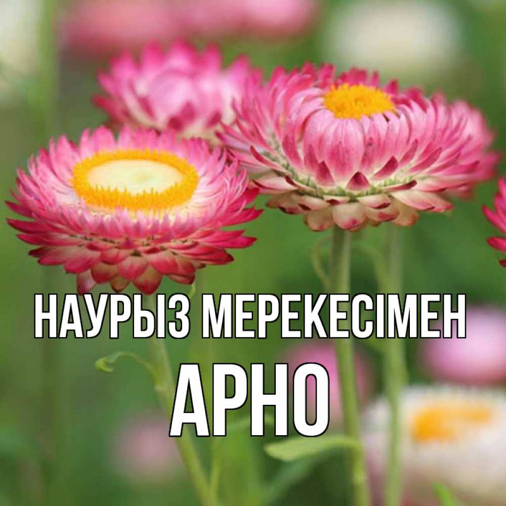 Күн сайын ашық хат с именем, Арно Наурыз мерекесімен подарок на международный женский день Онлайн тегін жүктеп алу тілектері бар керемет карта 