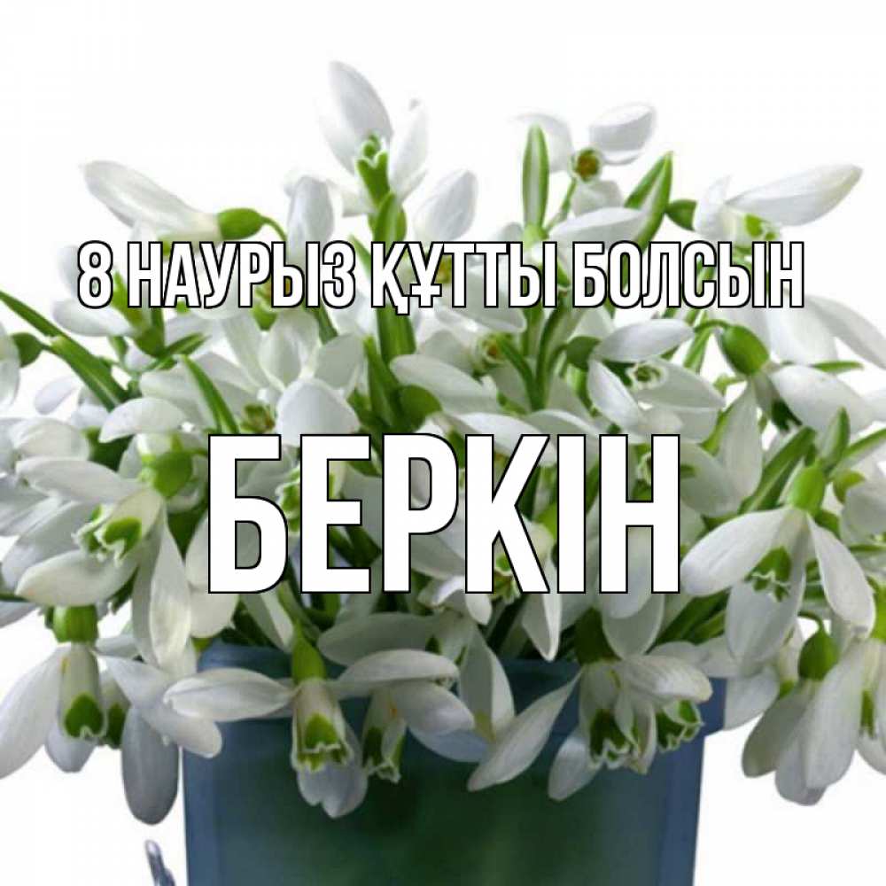 Күн сайын ашық хат с именем, Беркін 8 наурыз құтты болсын цветы к международному женскому дню Онлайн тегін жүктеп алу тілектері бар керемет карта 