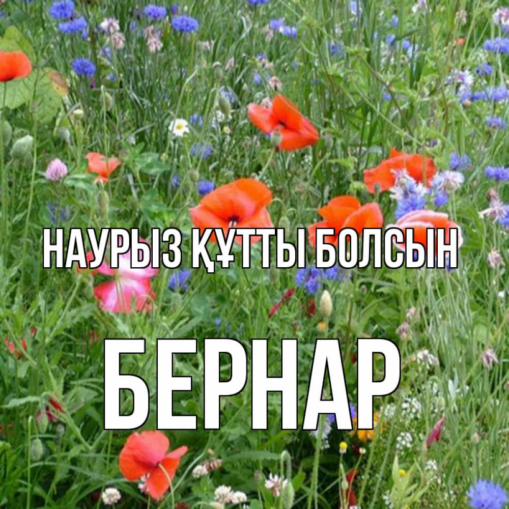 Күн сайын ашық хат с именем, Бернар Наурыз құтты болсын наурыз  4 Онлайн тегін жүктеп алу тілектері бар керемет карта 