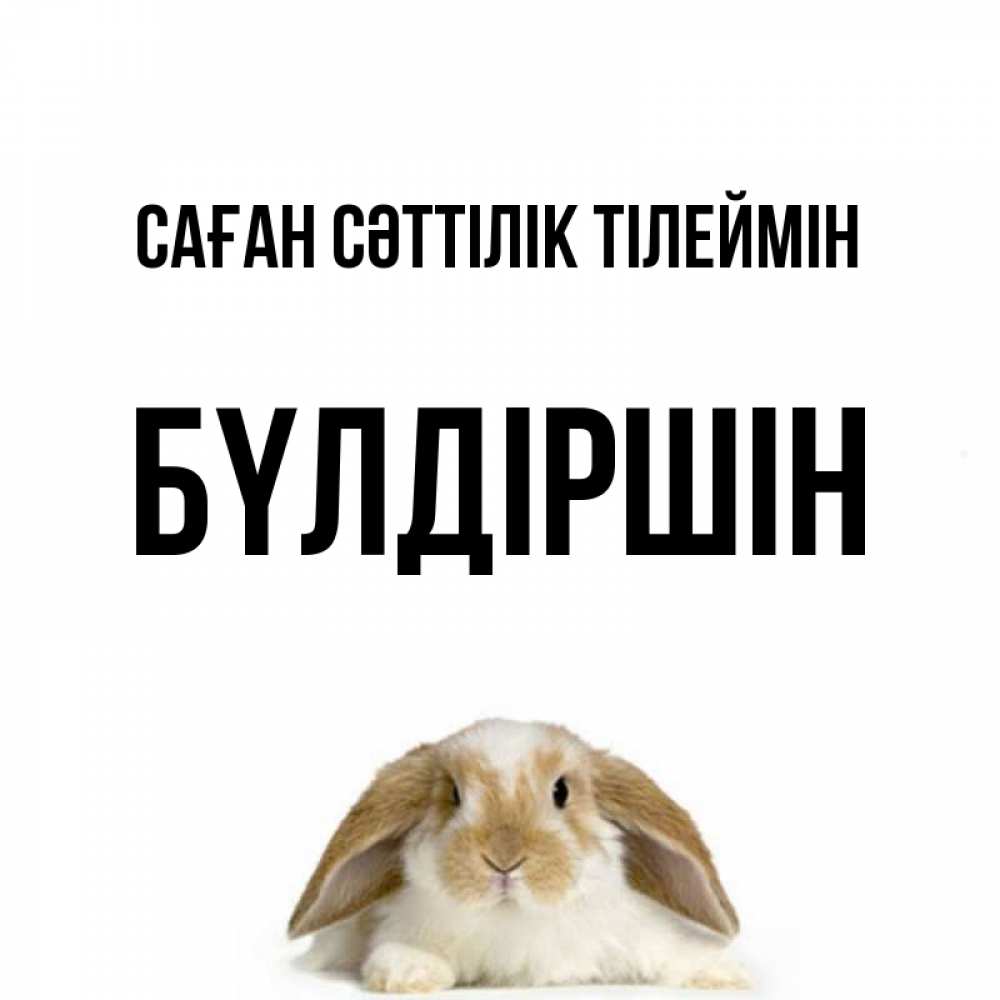 Күн сайын ашық хат с именем, БҮЛДІРШІН Саған сәттілік тілеймін открытки с произвольным текстом который можно вставить в открытку и создать ее самостоятельно бесплатно онлайн Онлайн тегін жүктеп алу тілектері бар керемет карта 