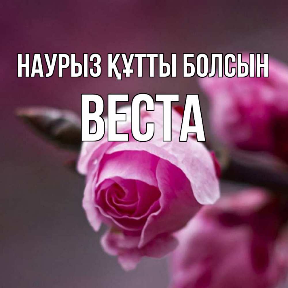 Күн сайын ашық хат с именем, Веста Наурыз құтты болсын весна Онлайн тегін жүктеп алу тілектері бар керемет карта 