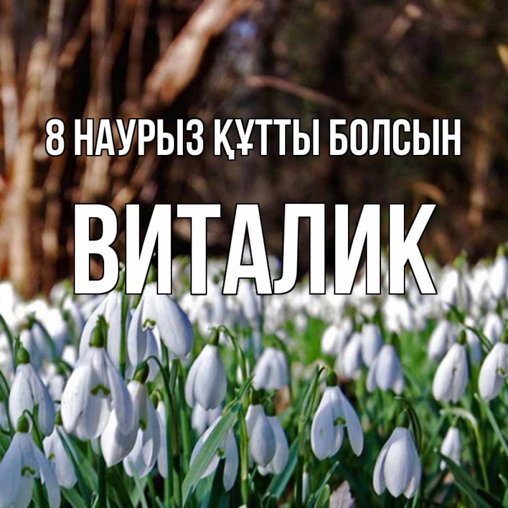 Күн сайын ашық хат с именем, Виталик 8 наурыз құтты болсын с подснежниками 1 Онлайн тегін жүктеп алу тілектері бар керемет карта 