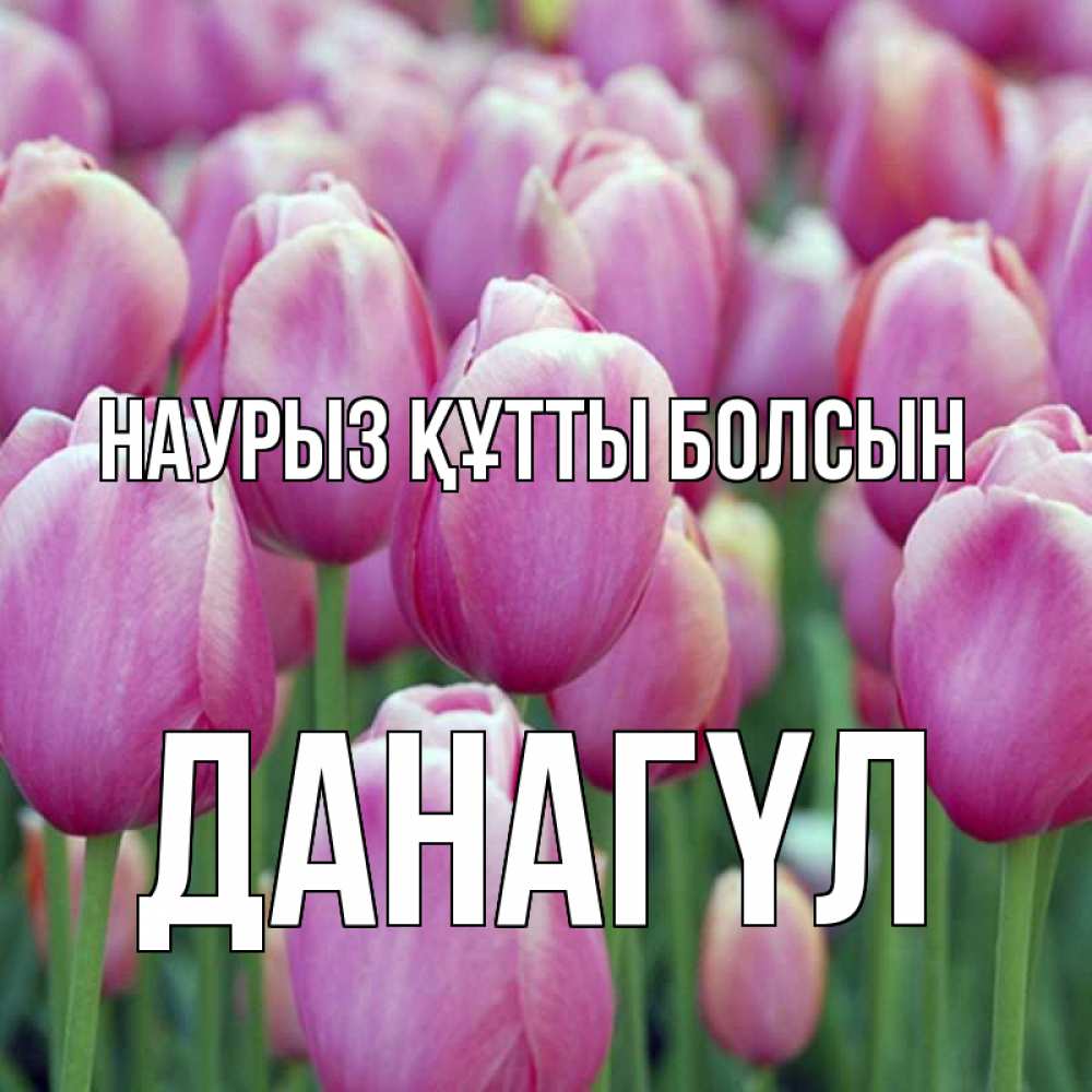 Күн сайын ашық хат с именем, ДАНАГҮЛ Наурыз құтты болсын на наурыз  день 3 Онлайн тегін жүктеп алу тілектері бар керемет карта 